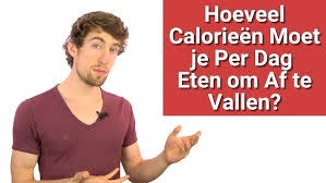 wat moet je per dag eten om af te vallen