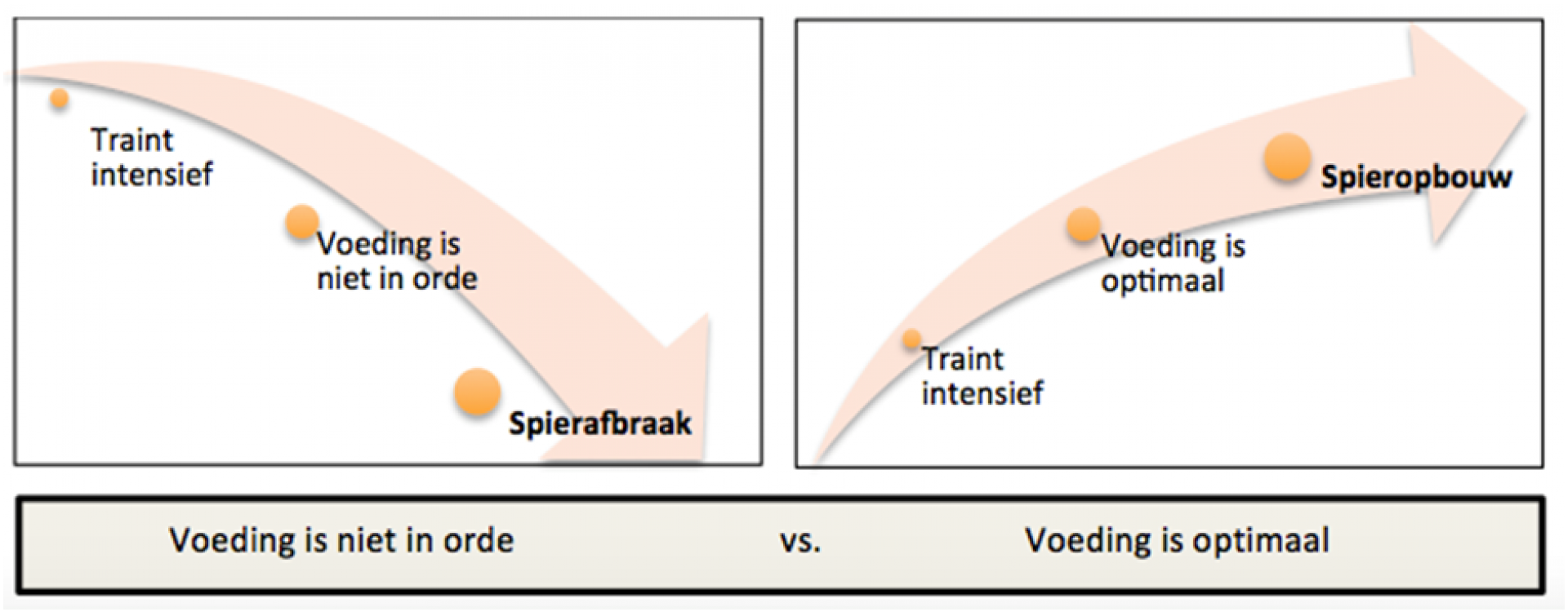 eetschema afvallen en spieropbouw